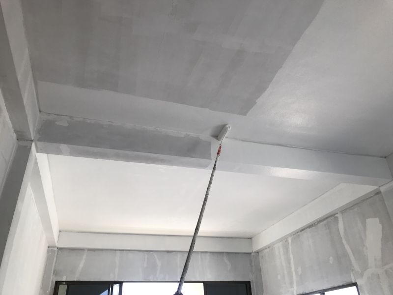 Ceiling Smoothing Service detail